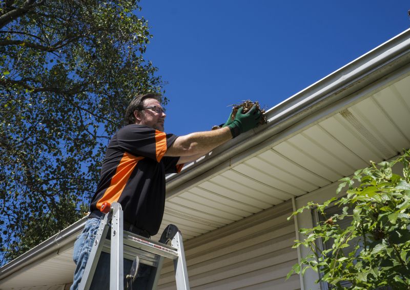 Clogged Gutter Clearing in Fredericksburg, VA