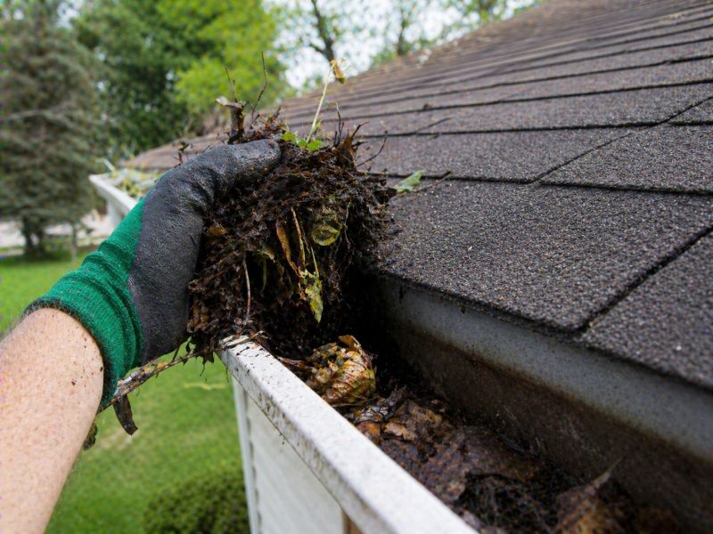 Gutter Pine Needle Removal in Monmouth County, NJ
