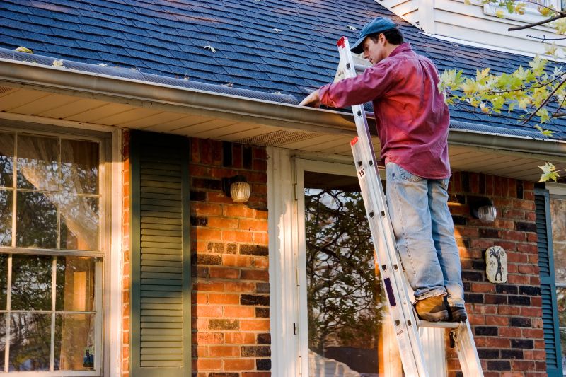 Roof Gutter Cleaning in Annapolis, MD
