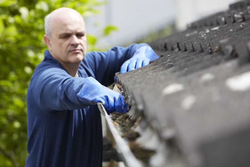 Gutter and Roof Care